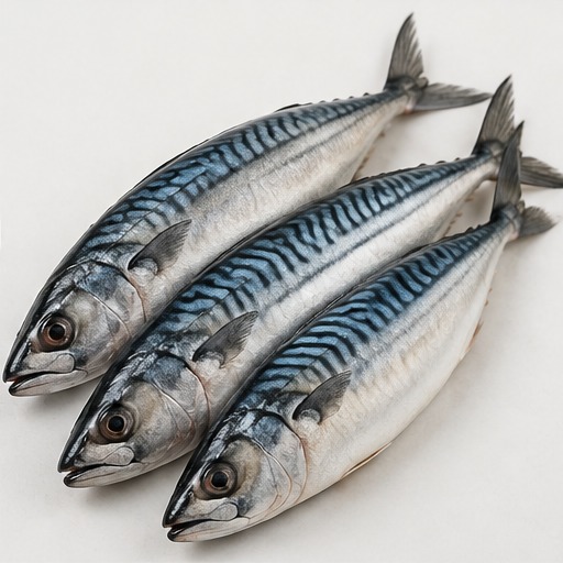Mackerel Fish (KG)